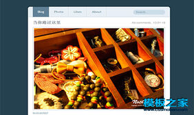 artky simple theme简洁相册wordpress模板