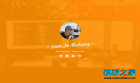 Web Developer在线网站简历H5模板下载