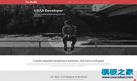 UX/UI Developer开发者web简历模板