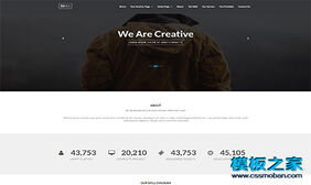 网站设计公司bootstrap响应式模板