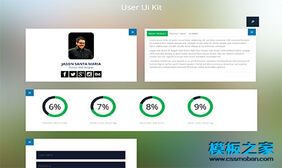 简单User Ui Kit html代码模板