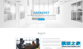 Catalyst家政清洁服务收费表网站模板