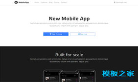 New Mobile App响应式网站模板