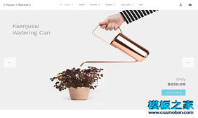 Hypermarket WordPress Theme Lite版下载
