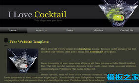 cocktail深色大气酷炫单页web网站模板