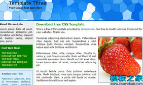three白色背景清新蓝色页眉web网站模板