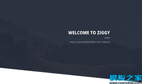 Ziggy黑白UI个人生活主题响应式网站模板